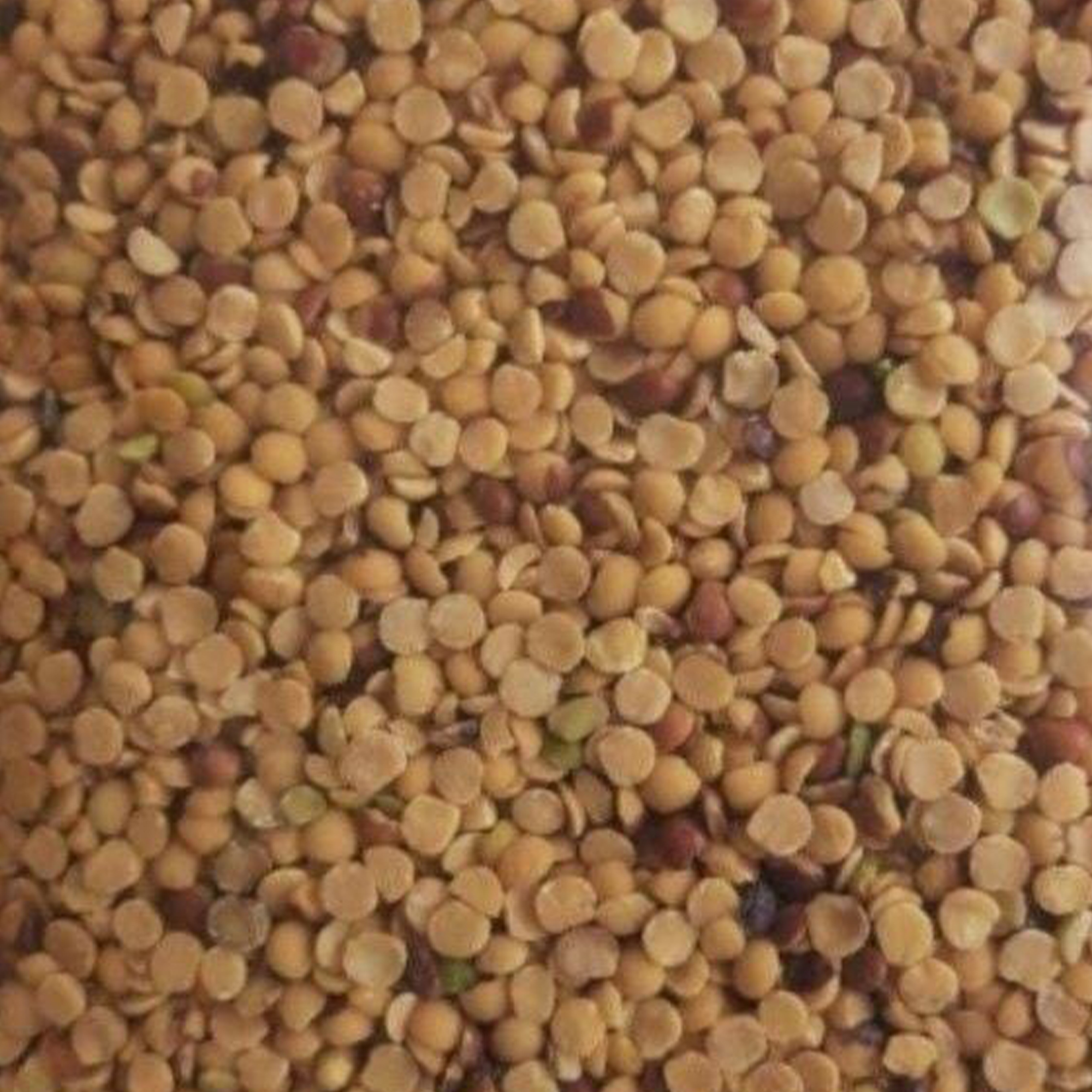 images_0000s_0008_Naturally cultivated and traditionally processed Toordal available.